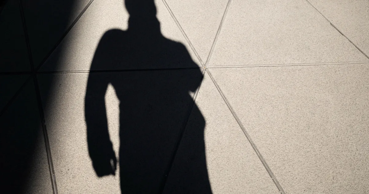 Portada del artículo Shadow Banking: volando bajo el radar